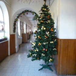 Karácsonyfa az iskolában